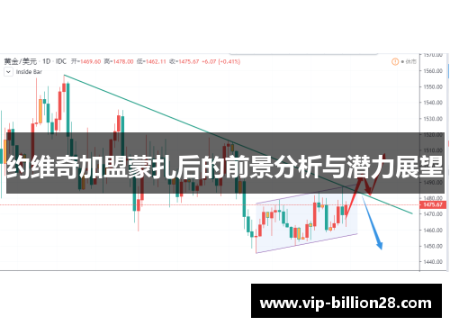 约维奇加盟蒙扎后的前景分析与潜力展望
