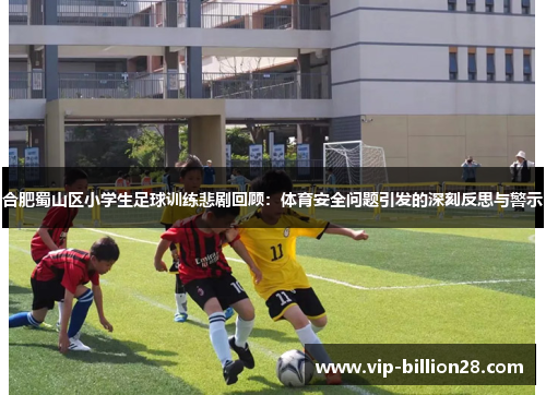 合肥蜀山区小学生足球训练悲剧回顾：体育安全问题引发的深刻反思与警示